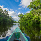 Canoe experience