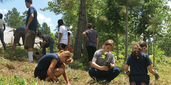 Environmental Citizenship in the Dominican Republic