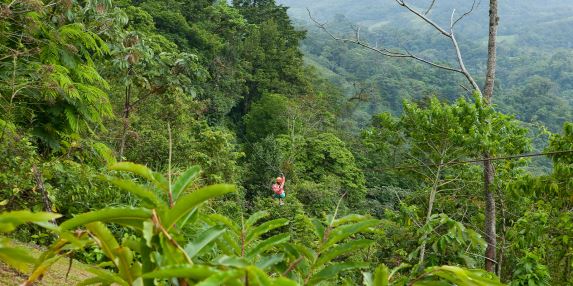 Adventure in Panama