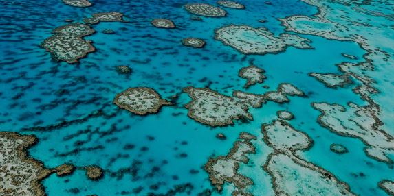 Sydney to the Great Barrier Reef