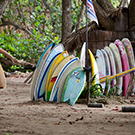 Surfing Lessons in Cabarete