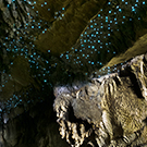 Waitomo Glowworm Caves